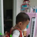 올래어린이집 이미지