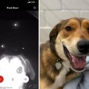 구로종합동물병원 이미지