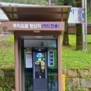 구룡사 | 강원도 원주 갈만한 곳 치악산 사찰 절, 명소 구룡사 방문후기