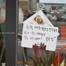 낙성대동-39 이미지