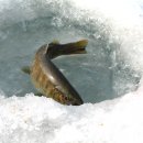 산천어낚시 이미지