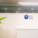 백야독서실