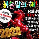 25년 마무리 잘 하시라고 26년 붉은말이 마중나왔습니다 이미지