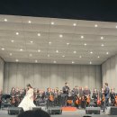 광화문닥터김이비인후과의원 | 골골 일상, 3일연속 병원행