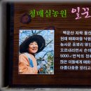 청매실농원 이미지