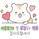 돼지별에서김치랑