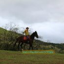 순천승마장 이미지