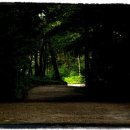 밤나무곡 이미지