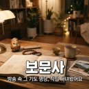 꿀맥 | 칠곡꿀맥페스티벌 다녀온 솔직 후기 및 꿀팁 정리