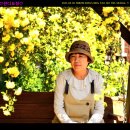 나라 차오름 이미지