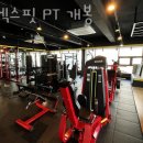 팀엑스핏 개봉 이미지