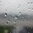 서초당약국 이미지