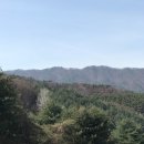 현율농장 Daum카페