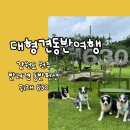 귀래630펜션 이미지