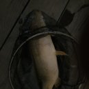 거두리낚시터 이미지