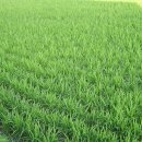 장동쉬엄쉬엄 이미지