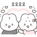 나래여행사 이미지