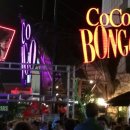 클럽 코코 관광나이트 이미지