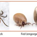행복동물약국 이미지