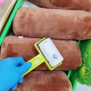 서울대늘푸른어린이집 이미지