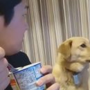 눈치