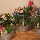 가드닝과 정원만들기 이미지