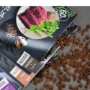 올바른펫 이미지