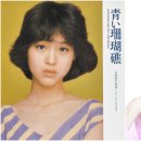 푸른산호초 - 김해시 | 푸른산호초