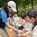 성모성심유치원 이미지