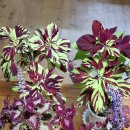 예향수산 이미지