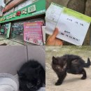 365녹십자약국 이미지