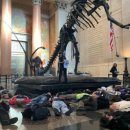 자연사박물관 정문 앞 이미지