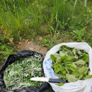 달맞이공원 화장실 이미지