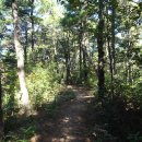 여강길(10-1코스 싸리산길) 이미지