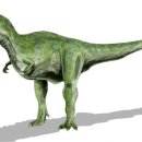 (주)모투스 | 알리오라무스 레모투스 (Alioramus remotus)