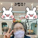파주시 치매안심센터 | 광탄치매센터 치매등급 파주노치원 금촌노치원 금촌재활치료 파주치매할머니 할아버지 조리읍주간보호센터