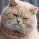 일상글쓰기 이미지