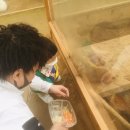 삼단지농장 이미지