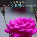 재생타이어 Daum카페
