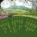 (주)몸부림 이미지