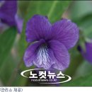 J5133 노컷뉴스