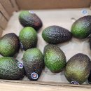 태양청과 | 🍇겨울철 프리미엄 과일! 태양과일에서 달콤하게 즐겨보세요!🍉