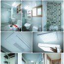 표선면-2 이미지