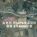 삼평초등학교 이미지