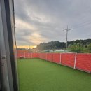 놀러오개 애견유치원 애견호텔 에버랜드점 이미지