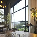 라시트포(LACITPO) | 초등학생 근시 억제 렌즈 '자이스 마이오비전 프로' vs '호야 마이오스마트' 비교, 가벼운 안경테 추천