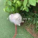 의인농장 이미지