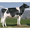 가장축산 이미지