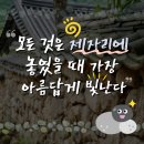 모든 것은 제자리에 놓였을 때 가장 아름답게 빛난다 이미지