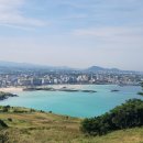 제주 올레길 19코스 이미지